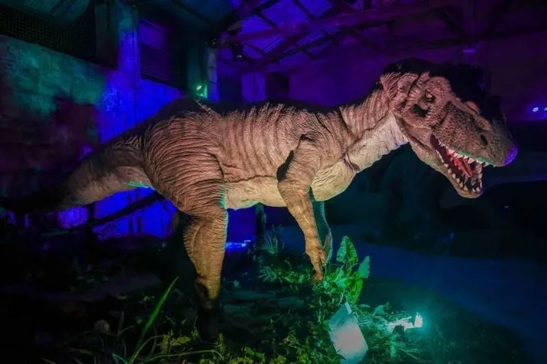 Así es el nuevo Museo de Dinosaurios en Nuevo León: fósiles, experiencias interactivas y un viaje al pasado