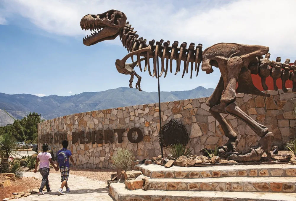 El Museo del Desierto: El punto de partida obligado en Saltillo