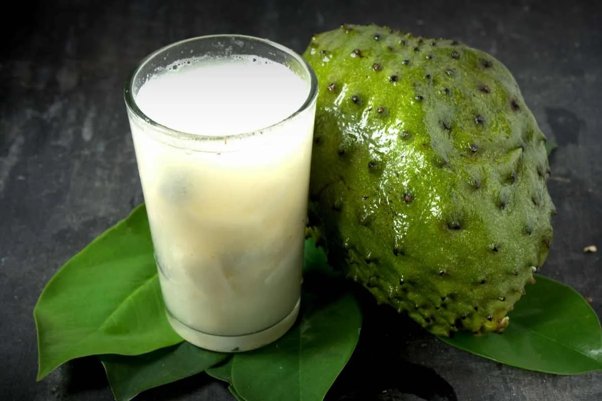 Aprende cómo preparar agua de guanábana estilo Michoacana. Una bebida refrescante, cremosa y perfecta para el calor.