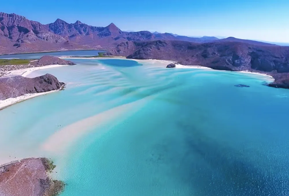Mar de Cortés. La paradoja de la visibilidad: ¿Agua cristalina o sopa de vida?