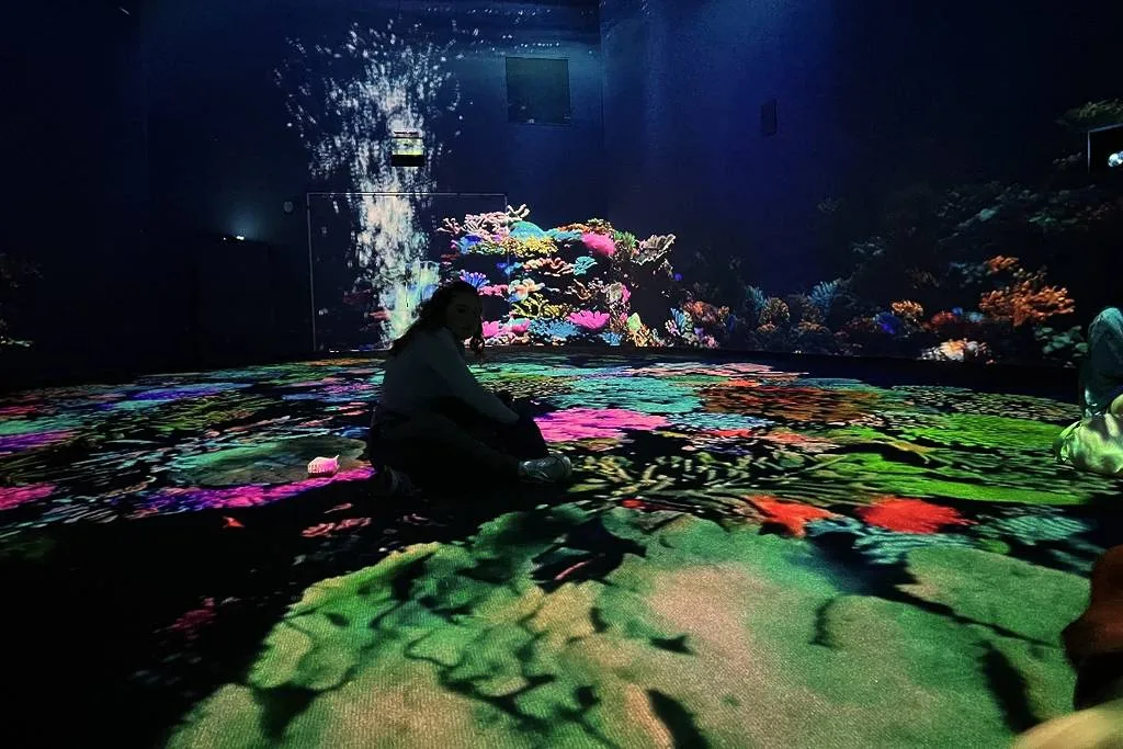 Descubre Aqüifera, el Festival del Bosque de Chapultepec 2026, una experiencia gratuita sobre el agua, disponible por tiempo limitado. ¡Apúrate porque sólo está este fin de semana!