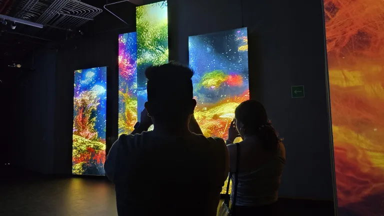 El Centro de Cultura Ambiental Ecoguardas