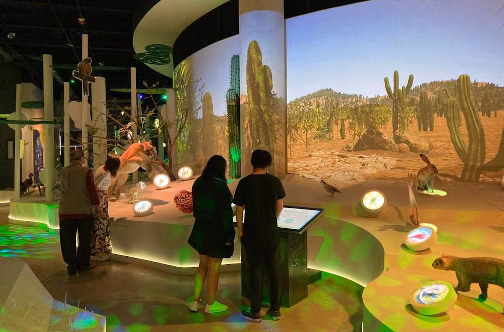 El Centro de Cultura Ambiental Ecoguardas