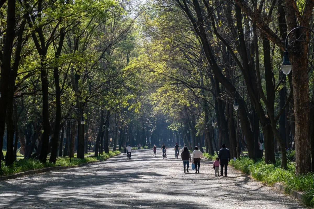 ¡Los 5 parques públicos más grandes de la CDMX! 