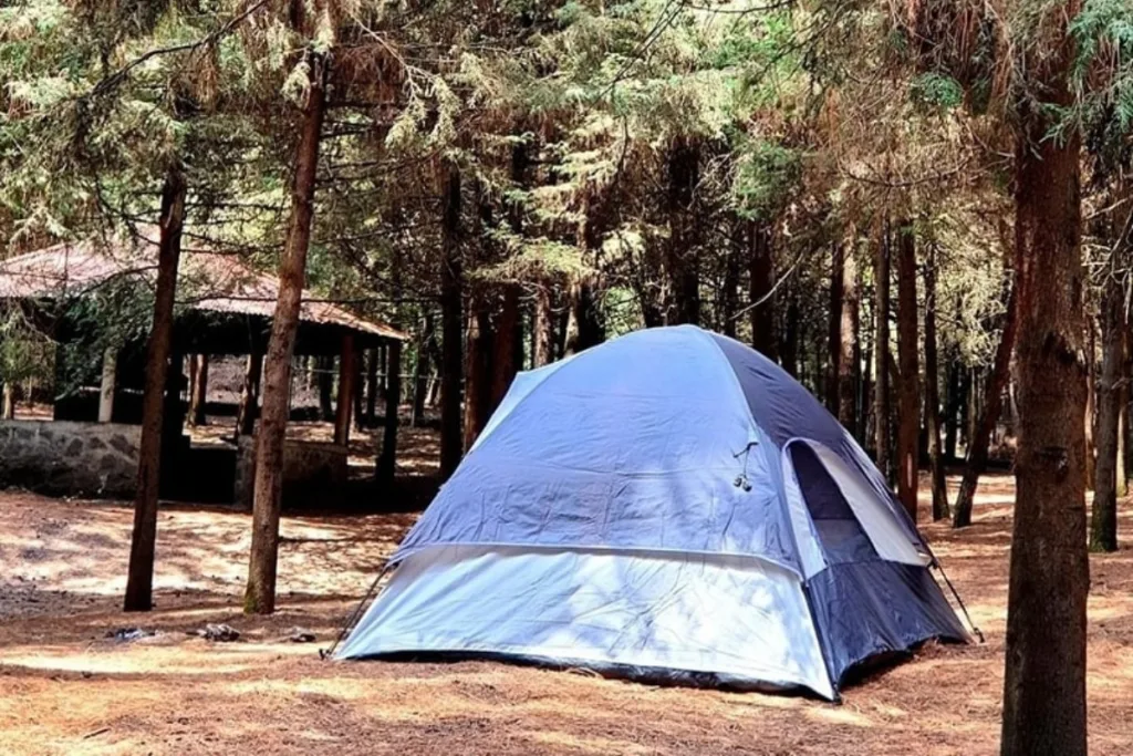 Descubre el Parque Ejidal San Nicolás Totolapan, un bosque natural en CDMX ideal para senderismo, ciclismo, cabañas y actividades al aire libre. ¿Te vas a lanzar?