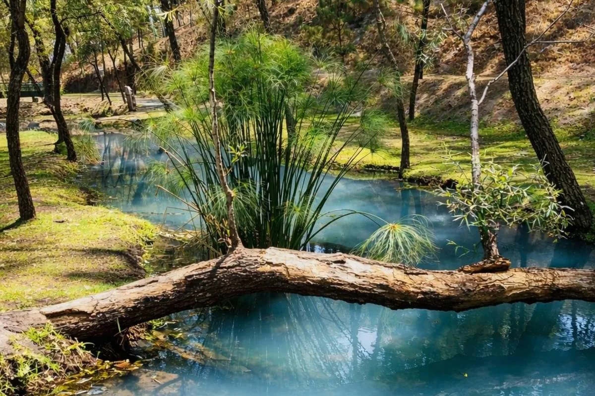 ¿Calor en Guadalajara? Este rancho con río es la mejor opción
