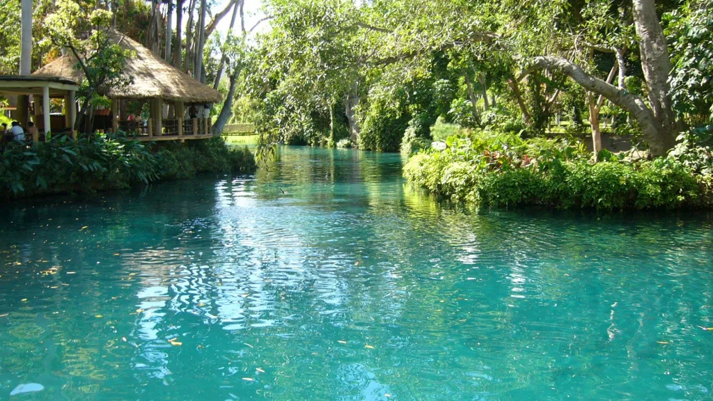Las Estacas es mucho más que un balneario: es un santuario natural donde el protagonista es un río cristalino que nace de un manantial subterráneo./Foto: X México Travel Channel