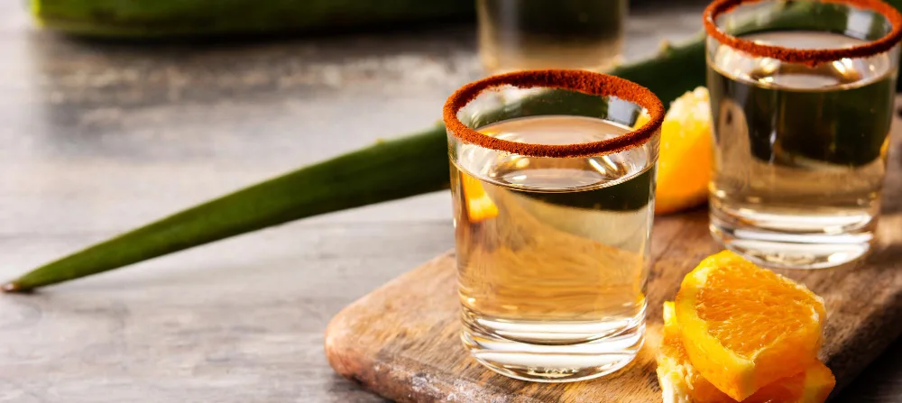 Papá Gourmet: 3 experiencias de catas de mezcal y tequila en CDMX, Monterrey y Guadalajara para regalarle