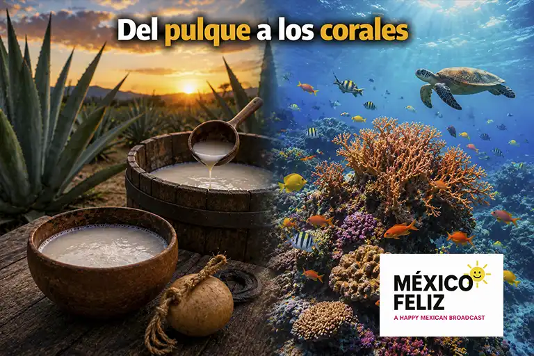 Noticias felices de México