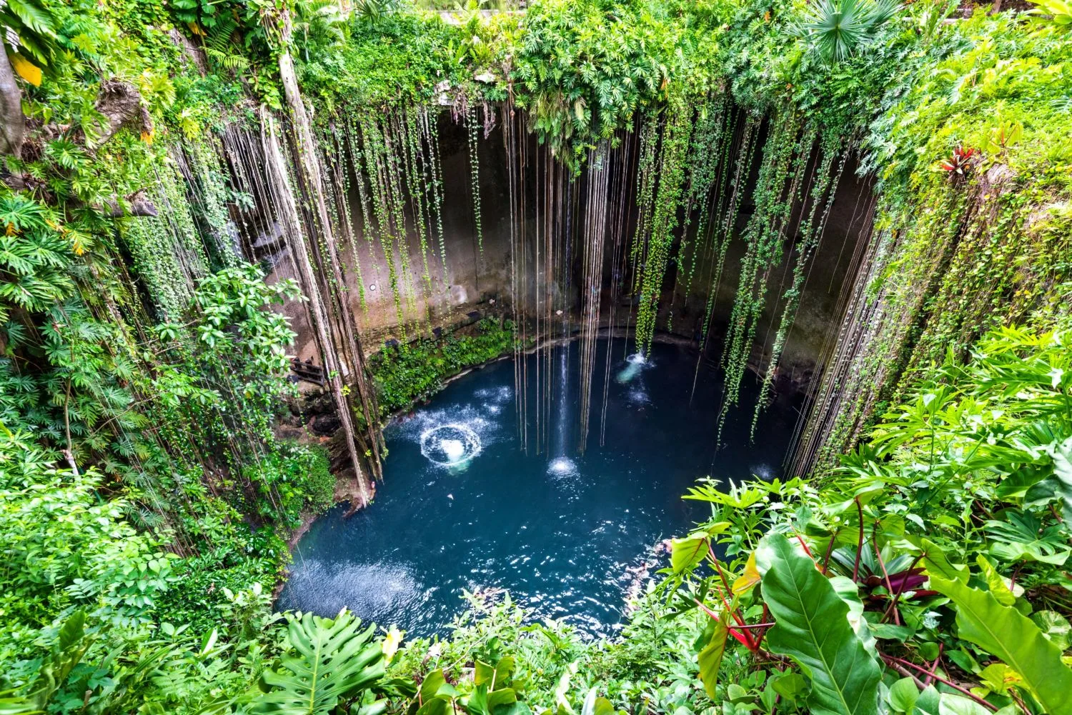¿Cuáles son las maravillas subterráneas de la Riviera Maya que debes conocer este verano?