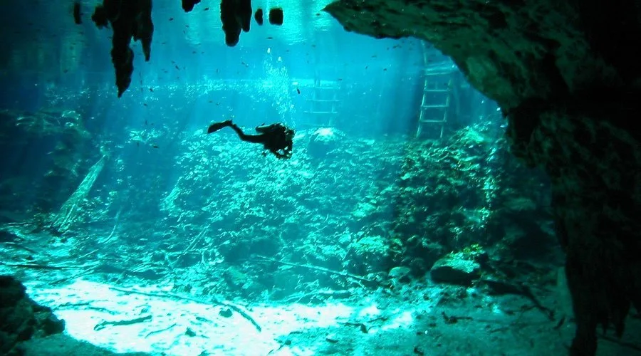 ¿Buscas qué hacer en la Riviera Maya este verano? Descubre Cenote Azul, Gran Cenote y Dos Ojos, tres impresionantes maravillas subterráneas de Quintana Roo con aguas cristalinas, cuevas y paisajes únicos. ¿Te lanzas a la aventura?